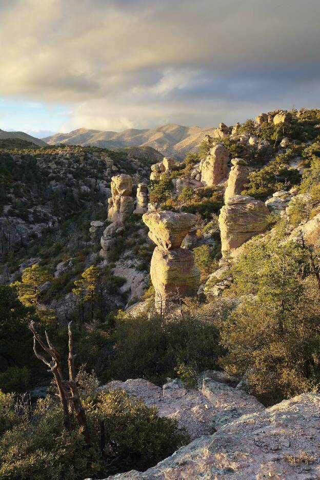 Storm light over Chiricahua Vista