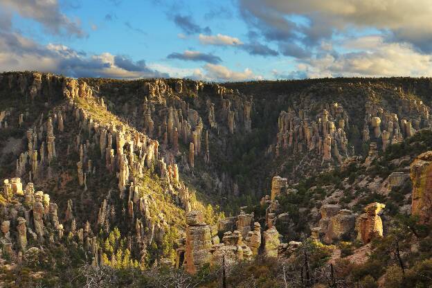 Chiricahua afternoon light