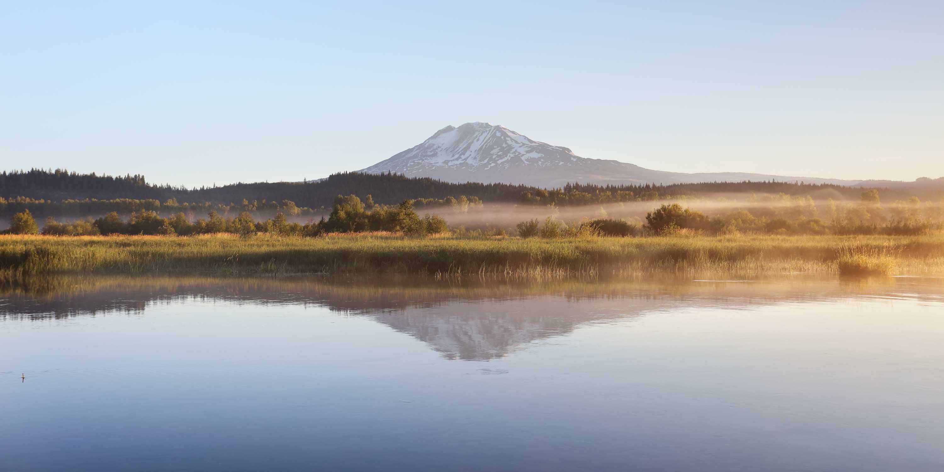 Mount Adams - Trout Lake