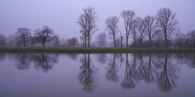 Bäume spiegeln sich in den überfluteten Auen