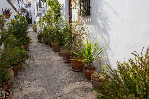 Hauswand mit Pflanzen in Frigiliana