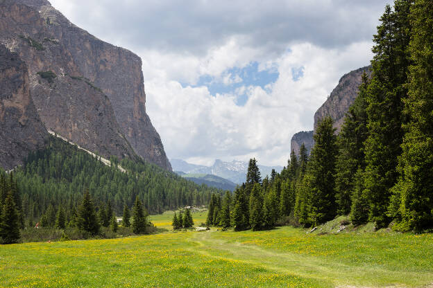 Wälder und Wiesen im Langental