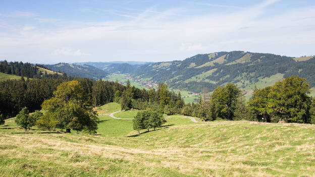 Konstanzer Tal Panorama