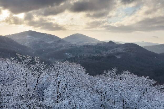 Winterlandschaft im Siebengebirge