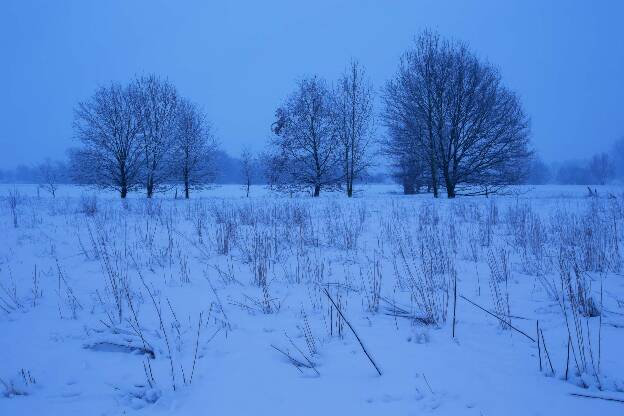 Neuschnee in den Auen