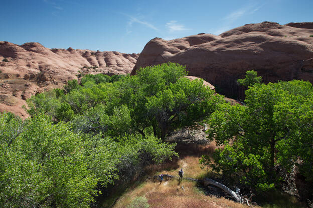 Coyote Gulch