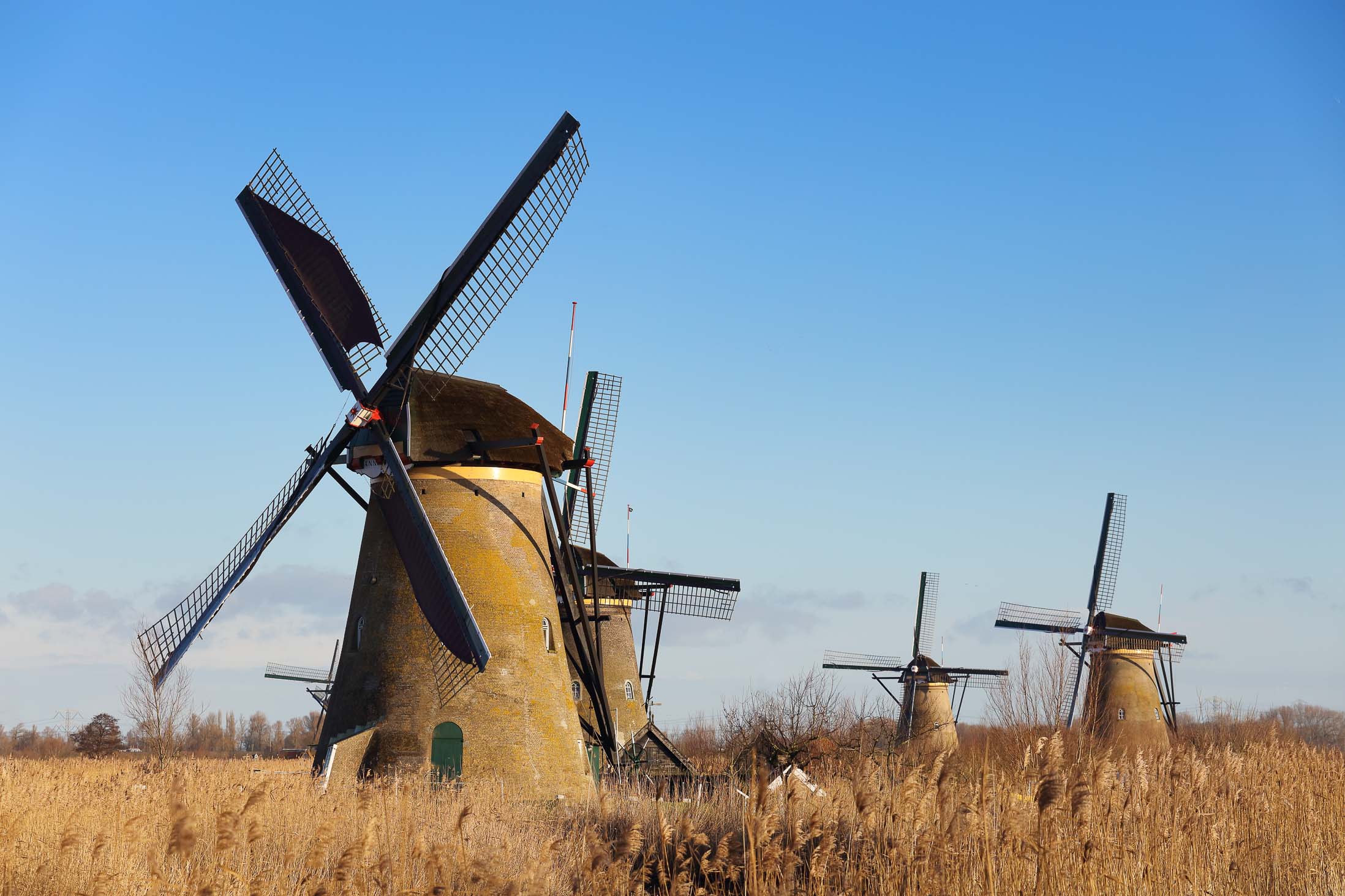 Teleaufnahme von Windmühlen in Kinderdijk