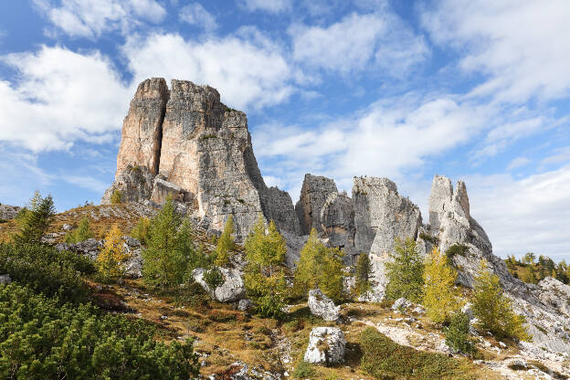 Latschenkiefer an den Cinque Torri