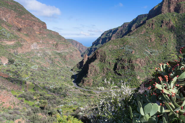 Barranco de Guayadeque