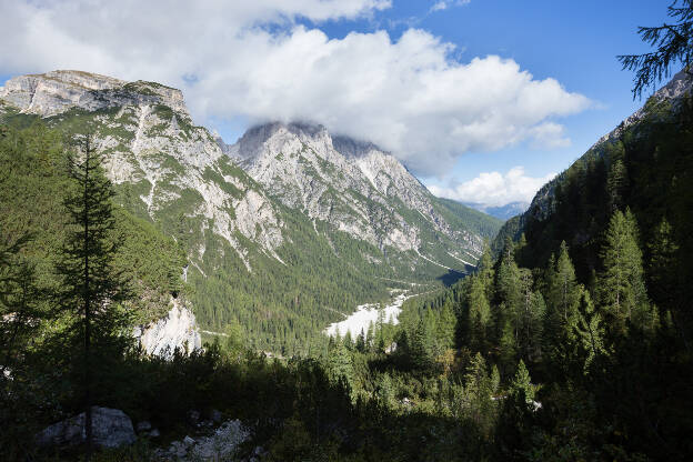 Bergwald im Innerfeldtal