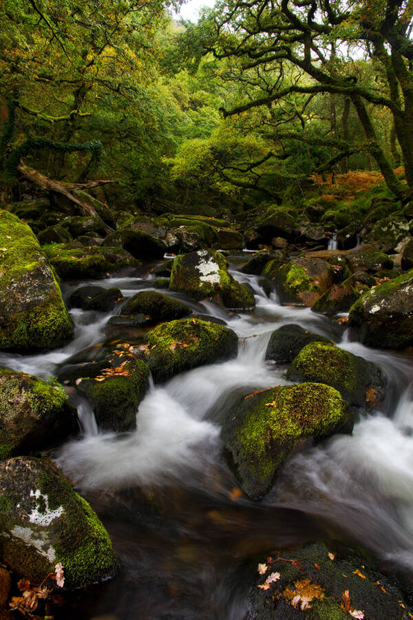 River Plym