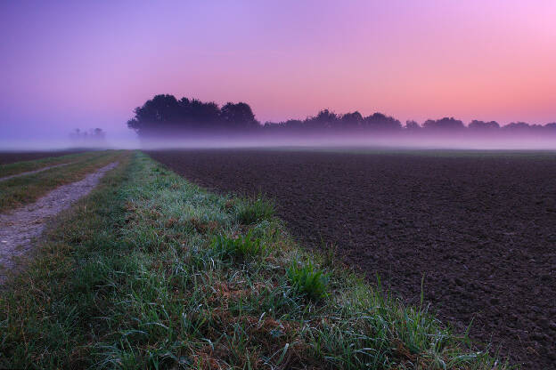 Dawn on the Worringer Bruch