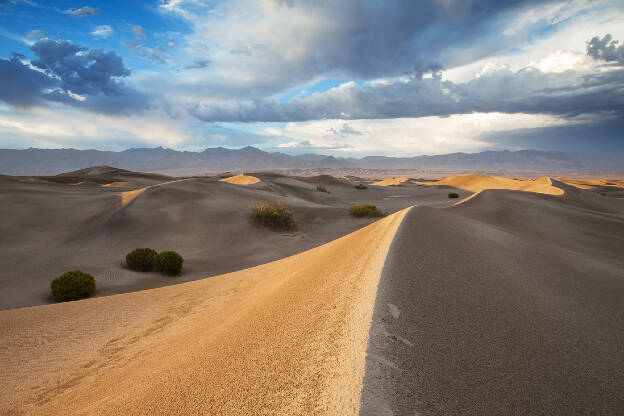 Mesquite Sand Dunes