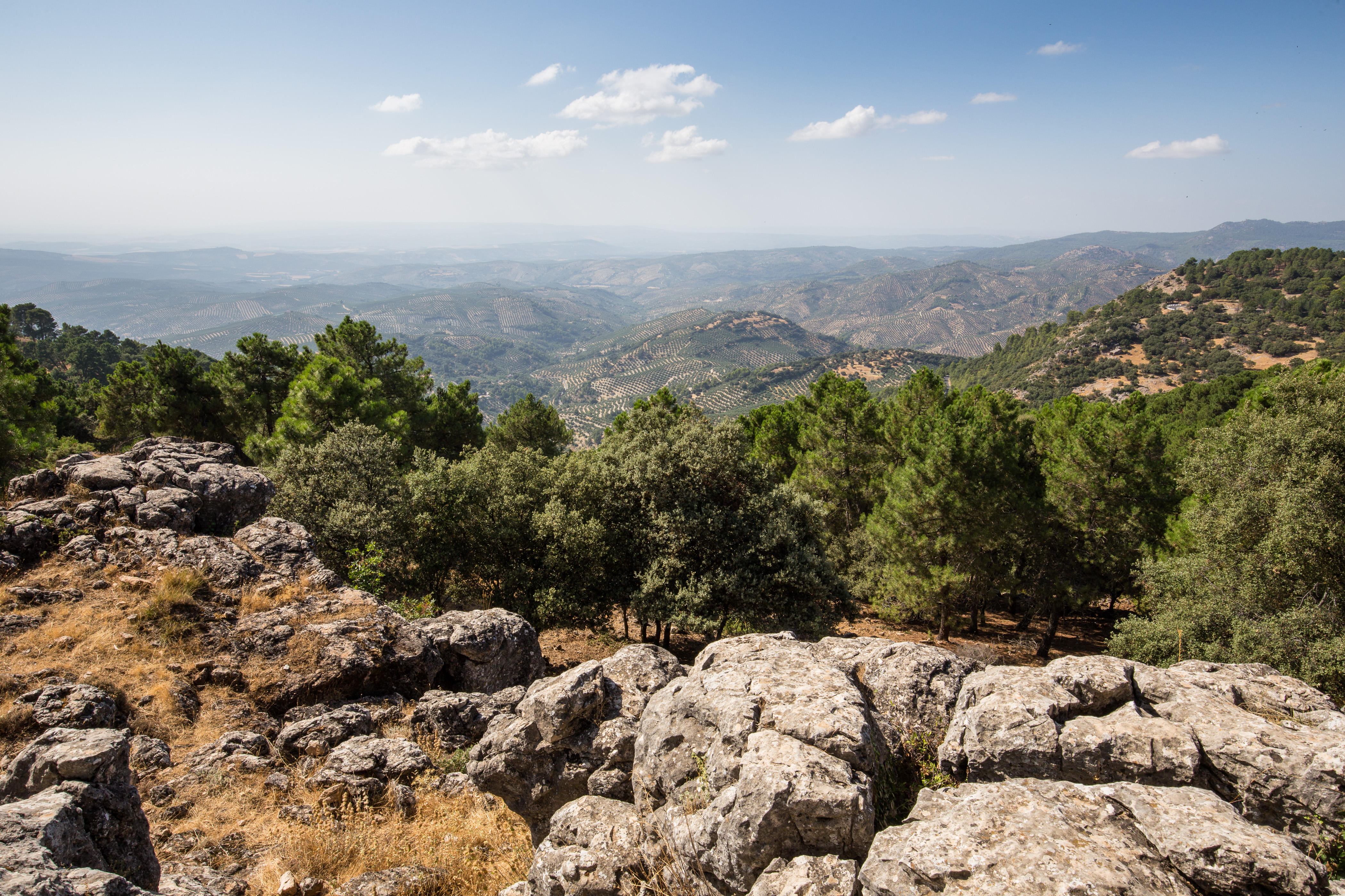 Aussicht von der Passstraße A-319 bei Cazorla