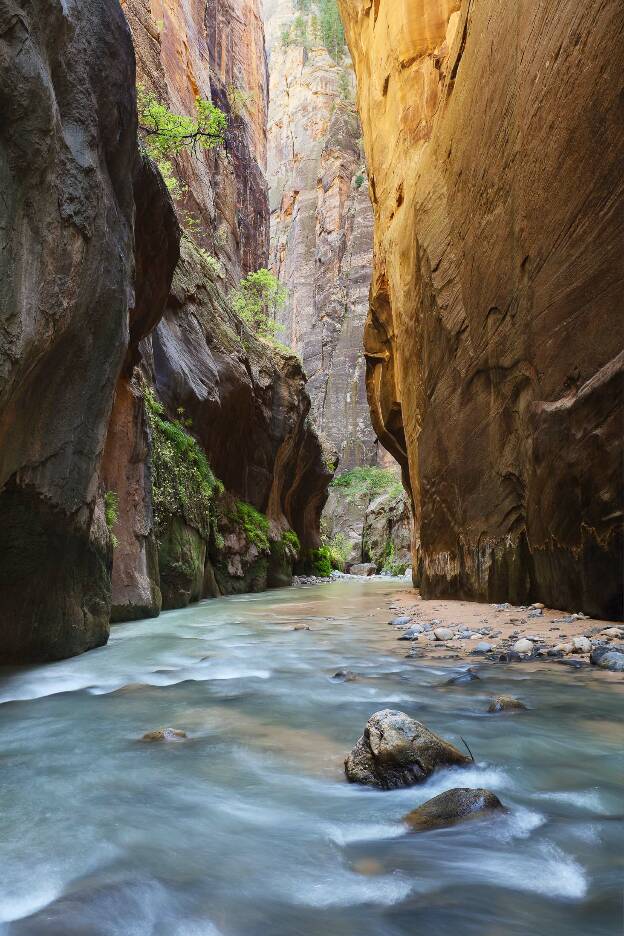 Virgin River in den Narrows