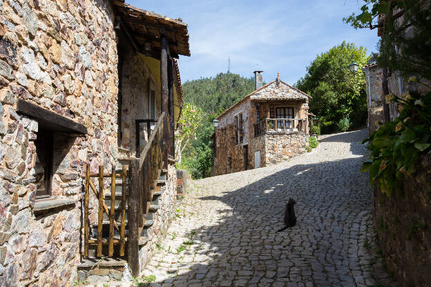 Katze in einer Gasse im Casal de São Simão