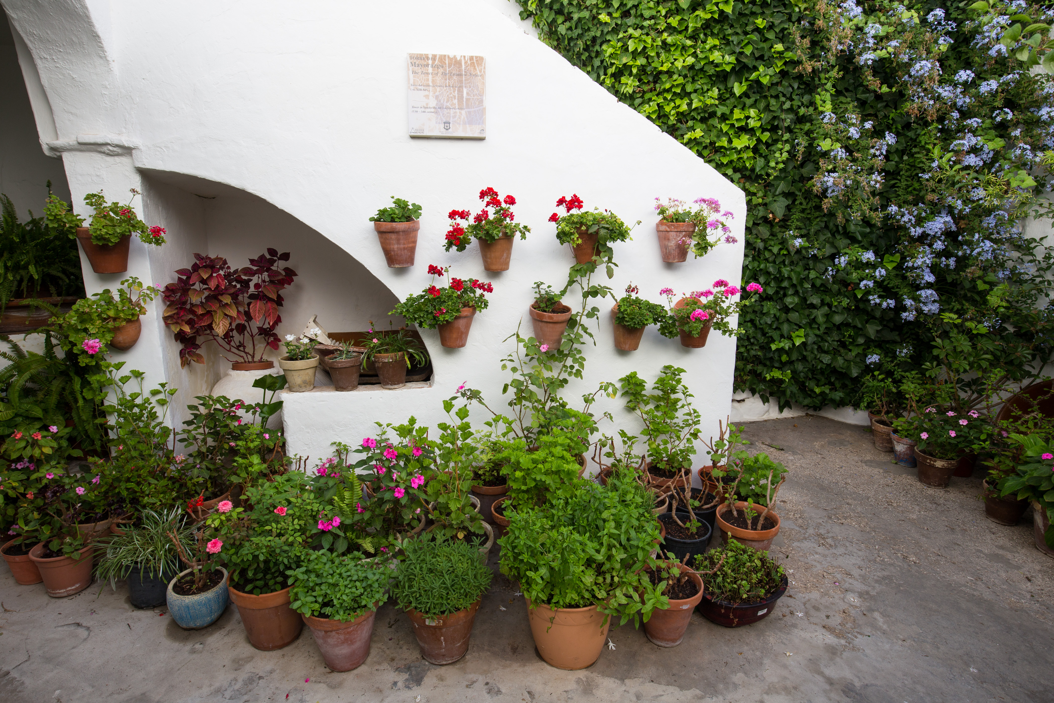 versteckter Innenhof mit Blumentöpfen