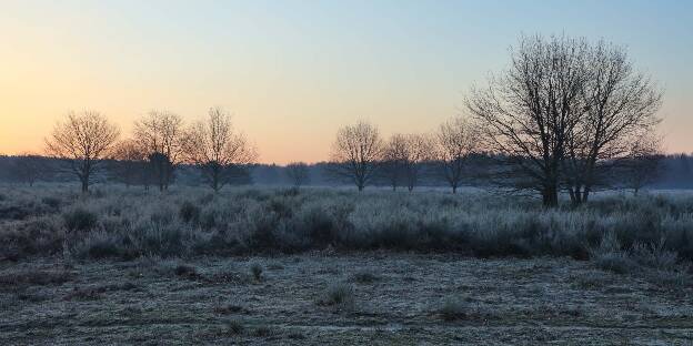 Wahnerheide im Winter