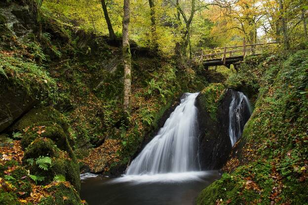 Eifel Waterfall