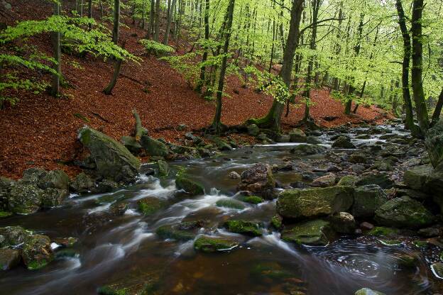 Whirlpool in the creek