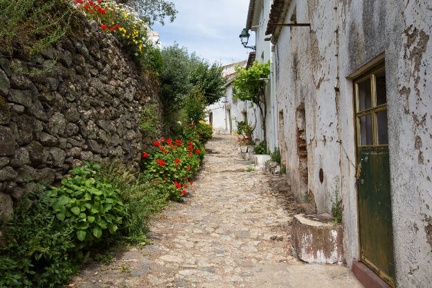 Gasse mit Blumen in Monsanto