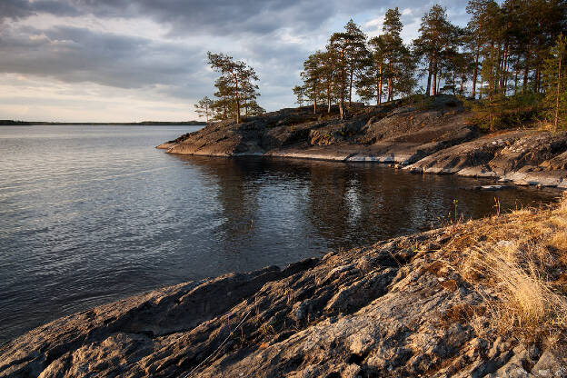 Evening light at the lake