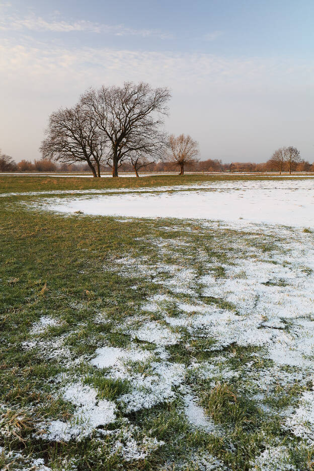 Schneebedeckte Felder