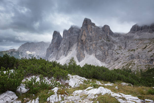 Latschenkiefern und Croda Fiscalina Bergspitzen