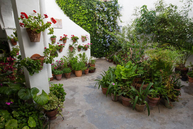 Innenhof in Vejer de la Frontera