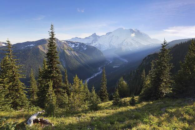 Mt. Rainier - Emmons Vista