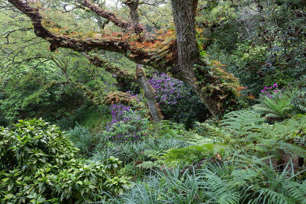 exotischer Garten bei Sintra