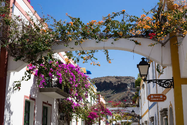 Puerto de Mogán Blumen