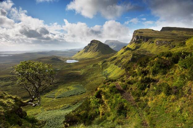 Quiraing Tree