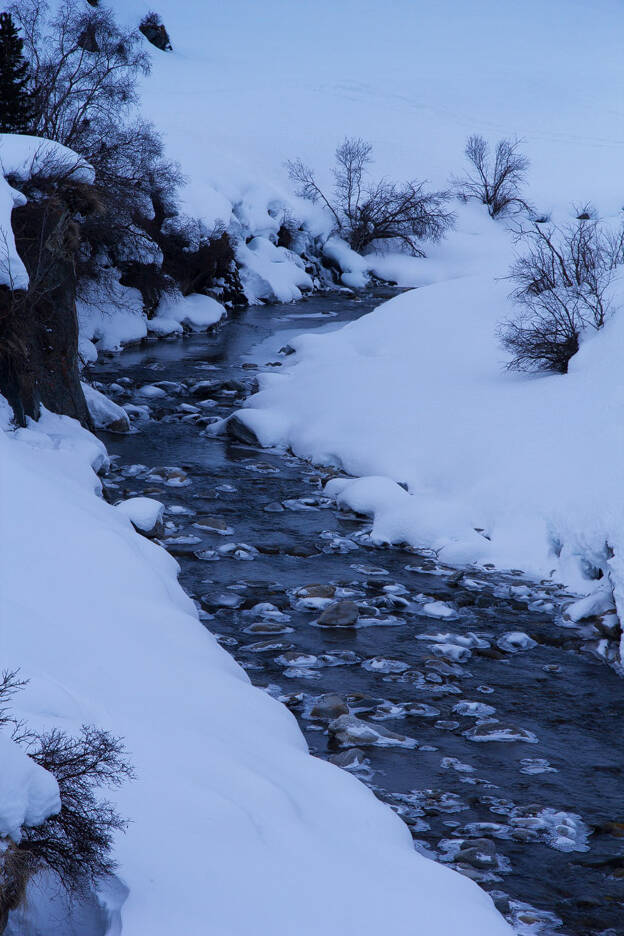 Mountain Stream