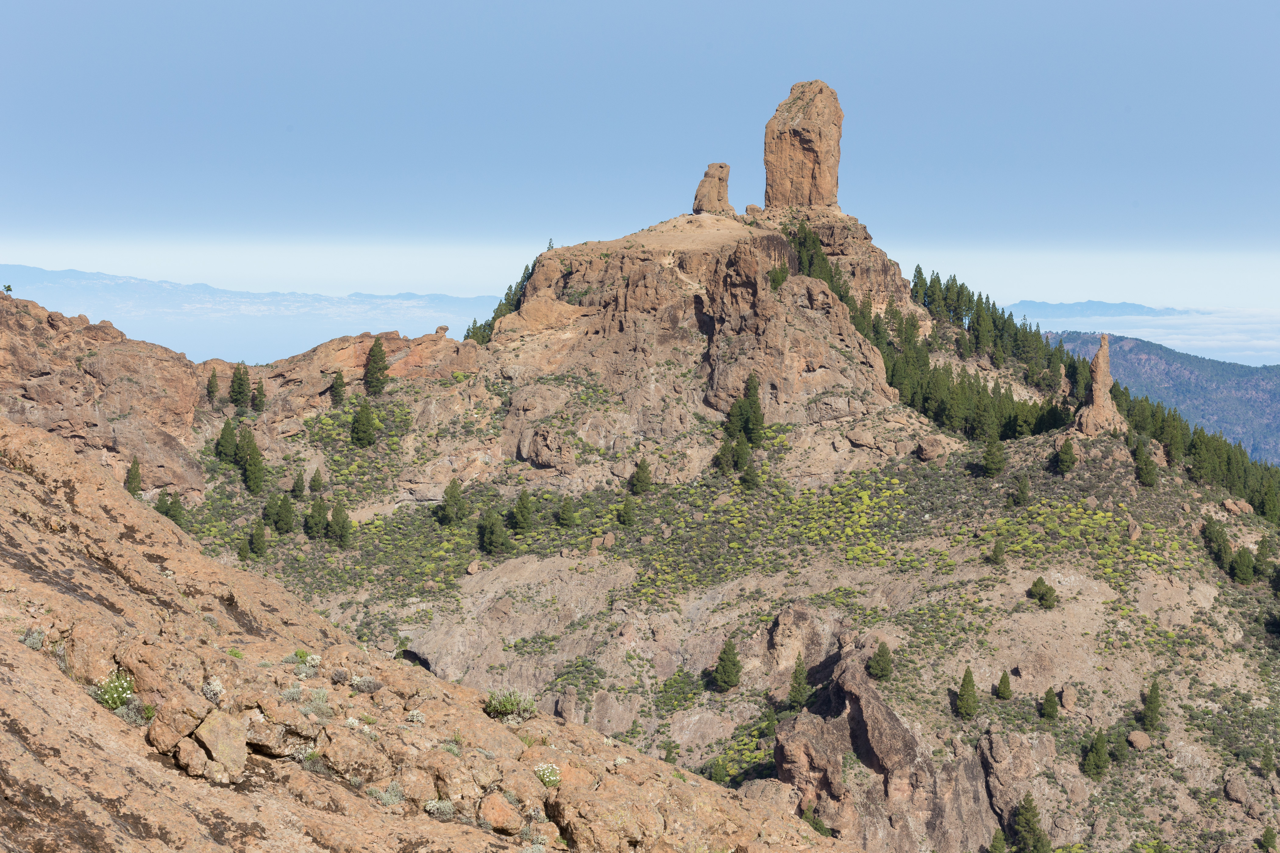Wanderung am Roque Nublo