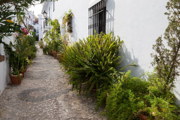 Hauswand mit Blumentöpfen in Frigiliana