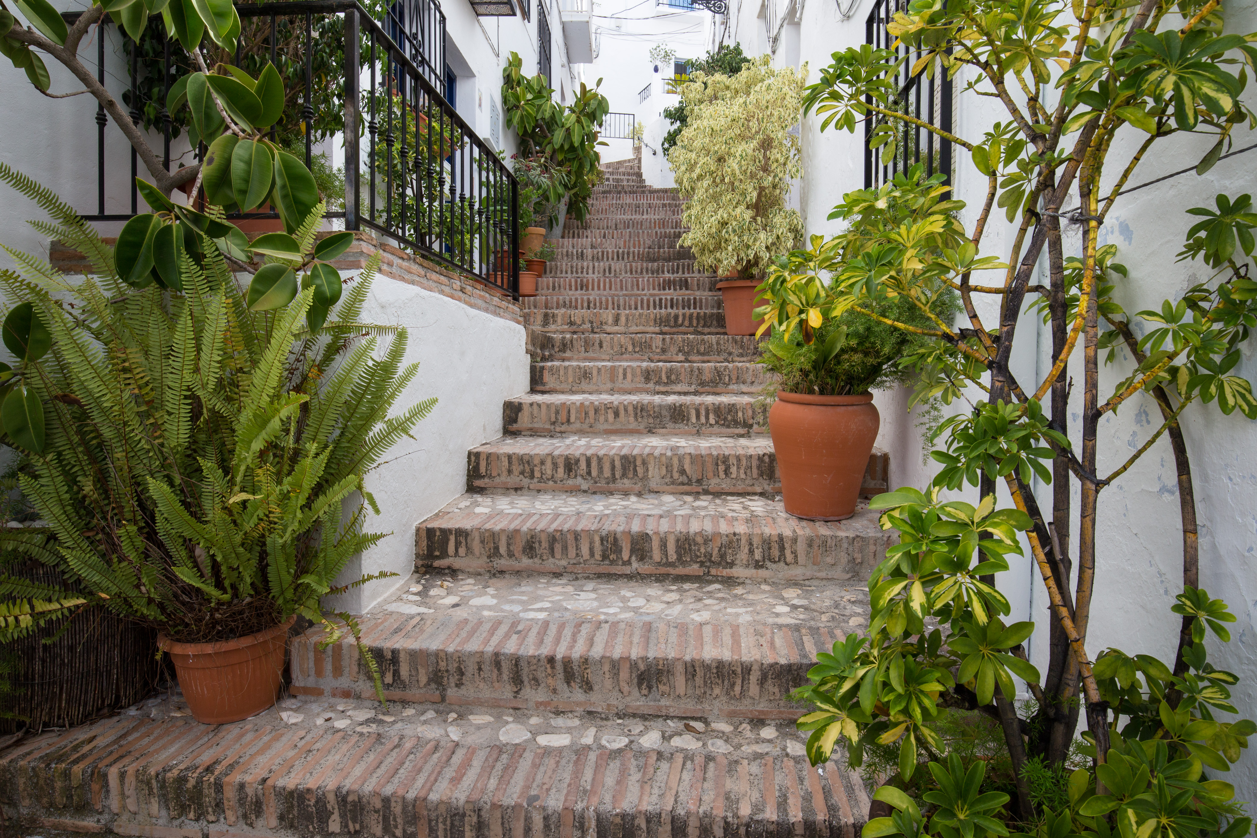 Treppe mit Pflanzen in Frigiliana