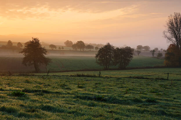 Meadow in Wide Angle